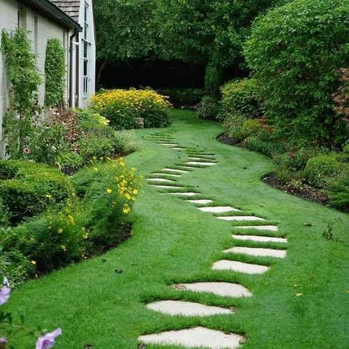 Chinese carpet grass Natural চাইনিস কার্পেট ঘাস ন্যাচারাল। - Image 3
