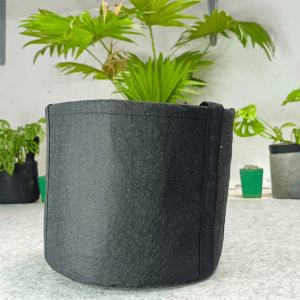 geo bag