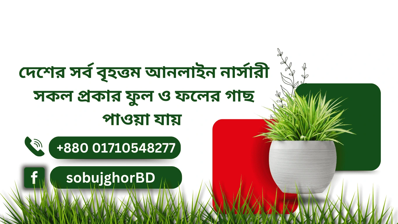 sobujghor.com banner 2