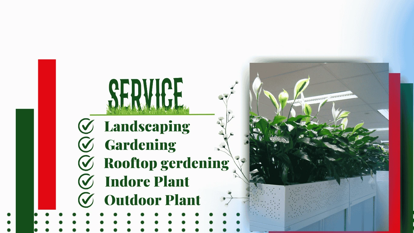 sobujghor.com banner 4