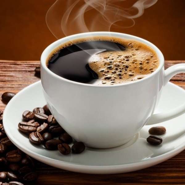 Coffee plant - কফি গাছ। - Image 3