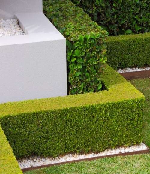 Landscape, Lawn - Image 7