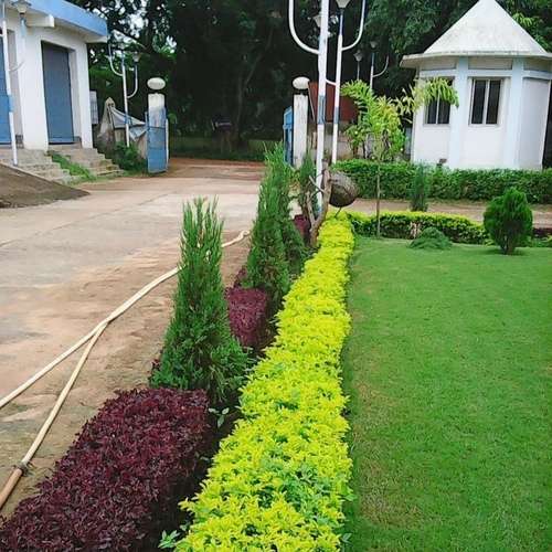 Landscape, Lawn - Image 2