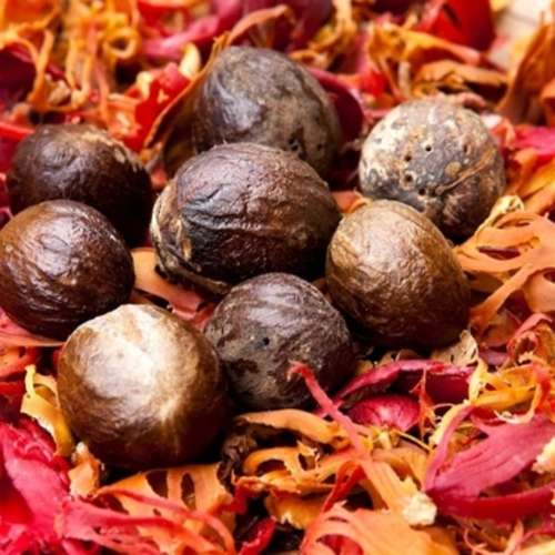joy fol plant - জয় ফল গাছ। - Image 2