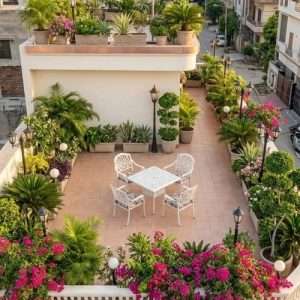 Roof Rooftop garden ছাদ বাগান Balcony Garden