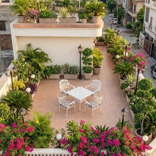 Roof Rooftop garden ছাদ বাগান Balcony Garden
